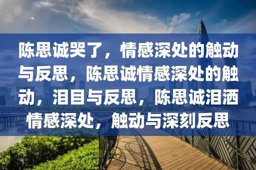陈思诚哭了，情感深处的触动与反思，陈思诚情感深处的触动，泪目与反思，陈思诚泪洒情感深处，触动与深刻反思