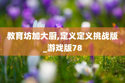教育坊加大厨,定义定义挑战版_游戏版78