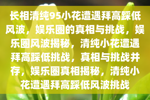 长相清纯95小花遭遇拜高踩低风波，娱乐圈的真相与挑战，娱乐圈风波揭秘，清纯小花遭遇拜高踩低挑战，真相与挑战并存，娱乐圈真相揭秘，清纯小花遭遇拜高踩低风波挑战