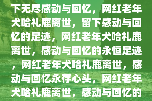 网红15岁老年犬哈礼鹿离世，留下无尽感动与回忆，网红老年犬哈礼鹿离世，留下感动与回忆的足迹，网红老年犬哈礼鹿离世，感动与回忆的永恒足迹，网红老年犬哈礼鹿离世，感动与回忆永存心头，网红老年犬哈礼鹿离世，感动与回忆的永恒印记