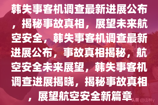 韩失事客机调查最新进展公布，揭秘事故真相，展望未来航空安全，韩失事客机调查最新进展公布，事故真相揭秘，航空安全未来展望，韩失事客机调查进展揭晓，揭秘事故真相，展望航空安全新篇章