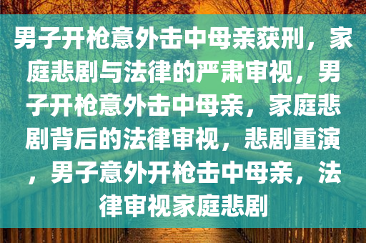 男子开枪意外击中母亲获刑，家庭悲剧与法律的严肃审视，男子开枪意外击中母亲，家庭悲剧背后的法律审视，悲剧重演，男子意外开枪击中母亲，法律审视家庭悲剧