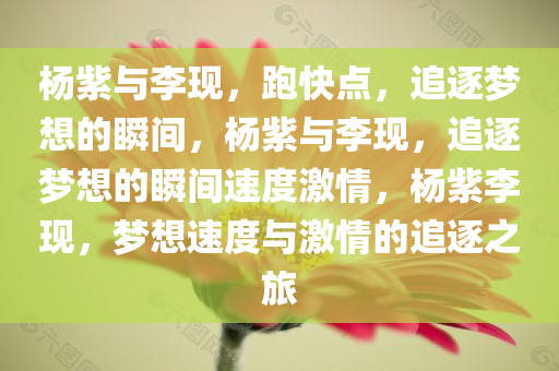 杨紫与李现，跑快点，追逐梦想的瞬间，杨紫与李现，追逐梦想的瞬间速度激情，杨紫李现，梦想速度与激情的追逐之旅