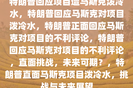 特朗普回应项目遭马斯克泼冷水，特朗普回应马斯克对项目泼冷水，特朗普正面回应马斯克对项目的不利评论，特朗普回应马斯克对项目的不利评论，直面挑战，未来可期？，特朗普直面马斯克项目泼冷水，挑战与未来展望