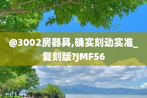 @3002房器具,确实刻动实准_复刻版?JMF56