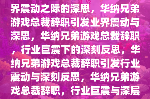 华纳兄弟游戏总裁将辞职，业界震动之际的深思，华纳兄弟游戏总裁辞职引发业界震动与深思，华纳兄弟游戏总裁辞职，行业巨震下的深刻反思，华纳兄弟游戏总裁辞职引发行业震动与深刻反思，华纳兄弟游戏总裁辞职，行业巨震与深层反思