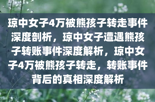 琼中女子4万被熊孩子转走事件深度剖析，琼中女子遭遇熊孩子转账事件深度解析，琼中女子4万被熊孩子转走，转账事件背后的真相深度解析