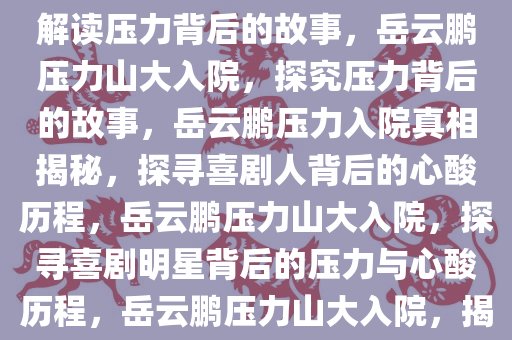 岳云鹏因压力山大入院，深度解读压力背后的故事，岳云鹏压力山大入院，探究压力背后的故事，岳云鹏压力入院真相揭秘，探寻喜剧人背后的心酸历程，岳云鹏压力山大入院，探寻喜剧明星背后的压力与心酸历程，岳云鹏压力山大入院，揭秘喜剧人背后的心酸与真相