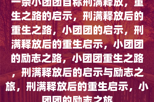 一条小团团自称刑满释放，重生之路的启示，刑满释放后的重生之路，小团团的启示，刑满释放后的重生启示，小团团的励志之路，小团团重生之路，刑满释放后的启示与励志之旅，刑满释放后的重生启示，小团团的励志之旅
