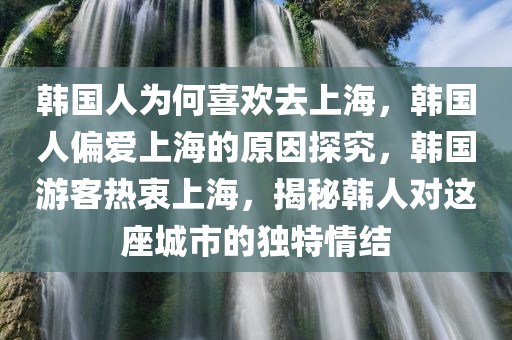 韩国人为何喜欢去上海，韩国人偏爱上海的原因探究，韩国游客热衷上海，揭秘韩人对这座城市的独特情结