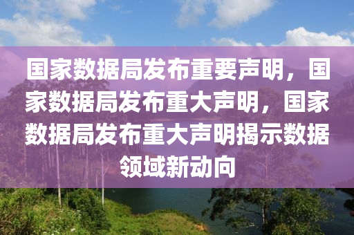 国家数据局发布重要声明，国家数据局发布重大声明，国家数据局发布重大声明揭示数据领域新动向