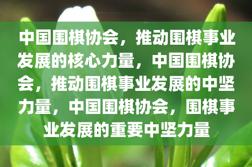 中国围棋协会，推动围棋事业发展的核心力量，中国围棋协会，推动围棋事业发展的中坚力量，中国围棋协会，围棋事业发展的重要中坚力量