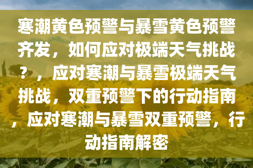 寒潮黄色预警与暴雪黄色预警齐发，如何应对极端天气挑战？，应对寒潮与暴雪极端天气挑战，双重预警下的行动指南，应对寒潮与暴雪双重预警，行动指南解密