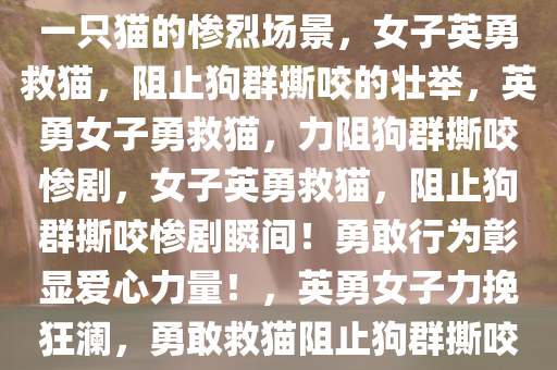 女子勇敢上前阻止几只狗撕咬一只猫的惨烈场景，女子英勇救猫，阻止狗群撕咬的壮举，英勇女子勇救猫，力阻狗群撕咬惨剧，女子英勇救猫，阻止狗群撕咬惨剧瞬间！勇敢行为彰显爱心力量！，英勇女子力挽狂澜，勇敢救猫阻止狗群撕咬惨剧