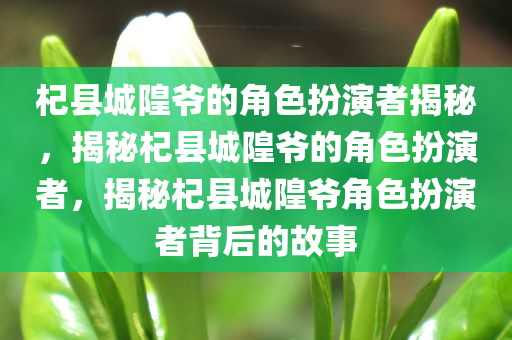 杞县城隍爷的角色扮演者揭秘，揭秘杞县城隍爷的角色扮演者，揭秘杞县城隍爷角色扮演者背后的故事