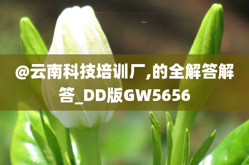 @云南科技培训厂,的全解答解答_DD版GW5656