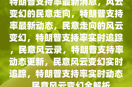 特朗普支持率最新消息，风云变幻的民意走向，特朗普支持率最新动态，民意走向的风云变幻，特朗普支持率实时追踪，民意风云录，特朗普支持率动态更新，民意风云变幻实时追踪，特朗普支持率实时动态，民意风云变幻全解析