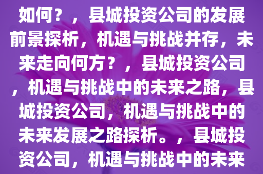 县城投资公司的发展前景究竟如何？，县城投资公司的发展前景探析，机遇与挑战并存，未来走向何方？，县城投资公司，机遇与挑战中的未来之路，县城投资公司，机遇与挑战中的未来发展之路探析。，县城投资公司，机遇与挑战中的未来之路探析