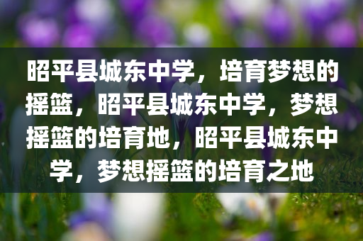 昭平县城东中学，培育梦想的摇篮，昭平县城东中学，梦想摇篮的培育地，昭平县城东中学，梦想摇篮的培育之地