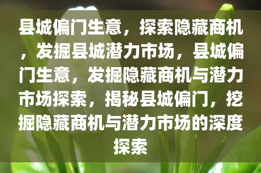 县城偏门生意，探索隐藏商机，发掘县城潜力市场，县城偏门生意，发掘隐藏商机与潜力市场探索，揭秘县城偏门，挖掘隐藏商机与潜力市场的深度探索