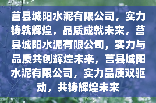 莒县城阳水泥有限公司，实力铸就辉煌，品质成就未来，莒县城阳水泥有限公司，实力与品质共创辉煌未来，莒县城阳水泥有限公司，实力品质双驱动，共铸辉煌未来