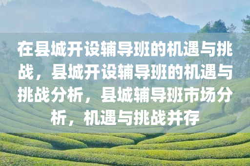 在县城开设辅导班的机遇与挑战，县城开设辅导班的机遇与挑战分析，县城辅导班市场分析，机遇与挑战并存