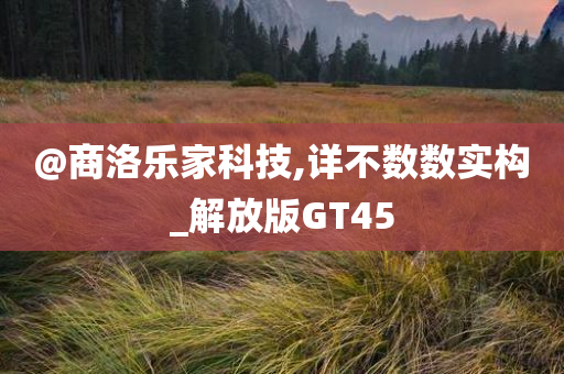 @商洛乐家科技,详不数数实构_解放版GT45