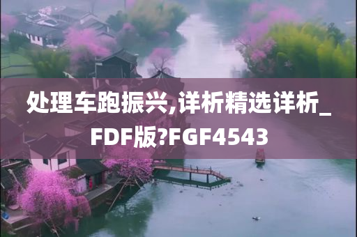 处理车跑振兴,详析精选详析_FDF版?FGF4543