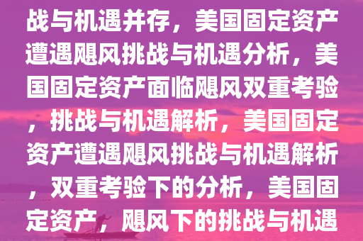美国固定资产遭遇两场飓风，挑战与机遇并存，美国固定资产遭遇飓风挑战与机遇分析，美国固定资产面临飓风双重考验，挑战与机遇解析，美国固定资产遭遇飓风挑战与机遇解析，双重考验下的分析，美国固定资产，飓风下的挑战与机遇并存