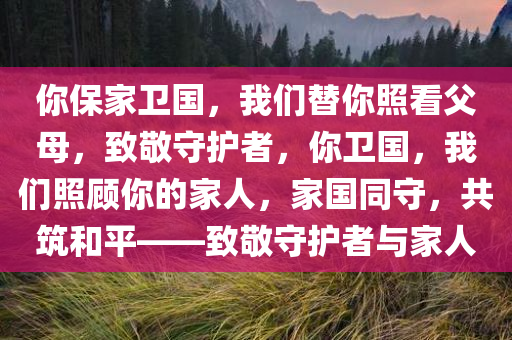你保家卫国，我们替你照看父母，致敬守护者，你卫国，我们照顾你的家人，家国同守，共筑和平——致敬守护者与家人