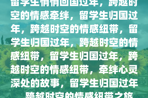留学生悄悄回国过年，跨越时空的情感牵绊，留学生归国过年，跨越时空的情感纽带，留学生归国过年，跨越时空的情感纽带，留学生归国过年，跨越时空的情感纽带，牵绊心灵深处的故事，留学生归国过年，跨越时空的情感纽带之旅