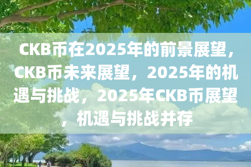 CKB币在2025年的前景展望，CKB币未来展望，2025年的机遇与挑战，2025年CKB币展望，机遇与挑战并存