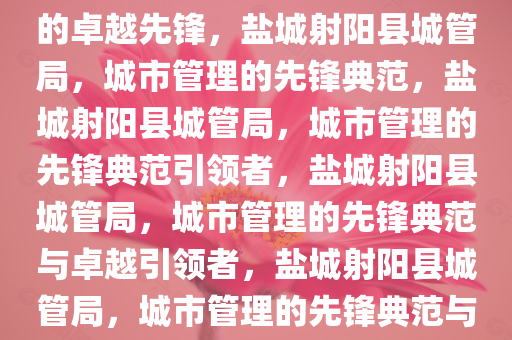 盐城射阳县城管局，城市管理的卓越先锋，盐城射阳县城管局，城市管理的先锋典范，盐城射阳县城管局，城市管理的先锋典范引领者，盐城射阳县城管局，城市管理的先锋典范与卓越引领者，盐城射阳县城管局，城市管理的先锋典范与卓越引领者