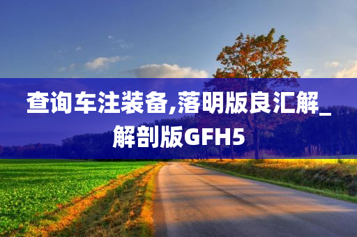 查询车注装备,落明版良汇解_解剖版GFH5