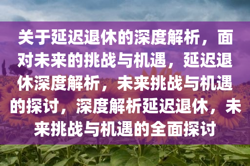 关于延迟退休的深度解析，面对未来的挑战与机遇，延迟退休深度解析，未来挑战与机遇的探讨，深度解析延迟退休，未来挑战与机遇的全面探讨