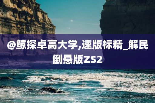 @鲸探卓高大学,速版标精_解民倒悬版ZS2