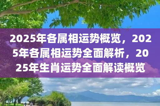 2025年各属相运势概览，2025年各属相运势全面解析，2025年生肖运势全面解读概览