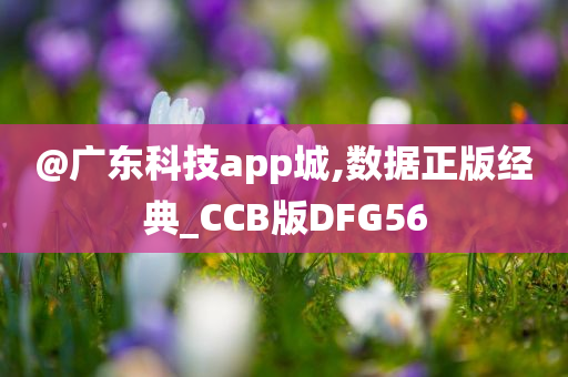 @广东科技app城,数据正版经典_CCB版DFG56