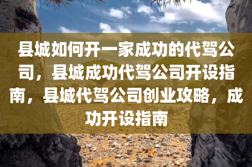 县城如何开一家成功的代驾公司，县城成功代驾公司开设指南，县城代驾公司创业攻略，成功开设指南