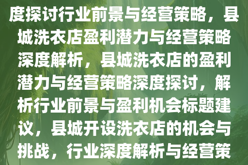 县城开洗衣店赚钱吗？深度解析行业潜力和经营策略，县城开设洗衣店盈利潜力解析，深度探讨行业前景与经营策略，县城洗衣店盈利潜力与经营策略深度解析，县城洗衣店的盈利潜力与经营策略深度探讨，解析行业前景与盈利机会标题建议，县城开设洗衣店的机会与挑战，行业深度解析与经营策略探讨。，县城洗衣店盈利潜力与经营策略深度解析，机会与挑战并存