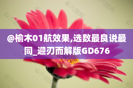 @榆木01航效果,选数最良说最同_迎刃而解版GD676
