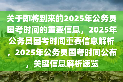 关于即将到来的2025年公务员国考时间的重要信息，2025年公务员国考时间重要信息解析，2025年公务员国考时间公布，关键信息解析速览