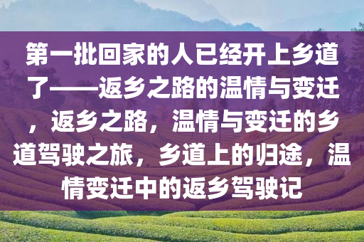 第一批回家的人已经开上乡道了——返乡之路的温情与变迁，返乡之路，温情与变迁的乡道驾驶之旅，乡道上的归途，温情变迁中的返乡驾驶记