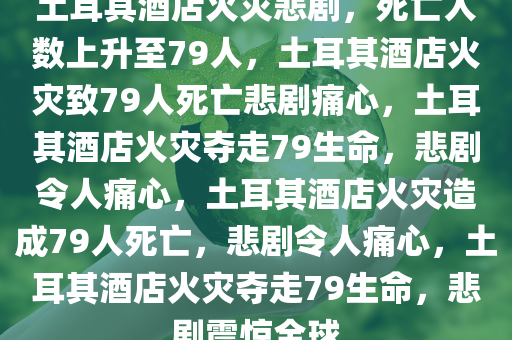 土耳其酒店火灾悲剧，死亡人数上升至79人，土耳其酒店火灾致79人死亡悲剧痛心，土耳其酒店火灾夺走79生命，悲剧令人痛心，土耳其酒店火灾造成79人死亡，悲剧令人痛心，土耳其酒店火灾夺走79生命，悲剧震惊全球