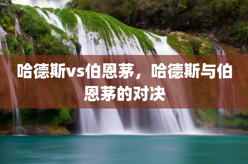 哈德斯vs伯恩茅，哈德斯与伯恩茅的对决