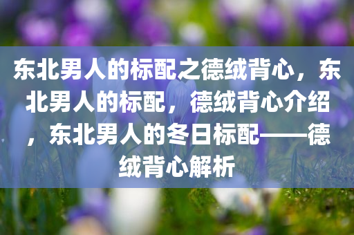 东北男人的标配之德绒背心，东北男人的标配，德绒背心介绍，东北男人的冬日标配——德绒背心解析