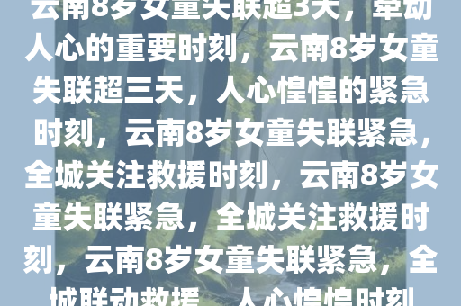 linshuhui 第17页