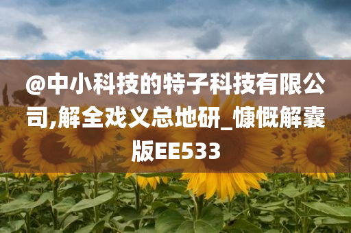 @中小科技的特子科技有限公司,解全戏义总地研_慷慨解囊版EE533