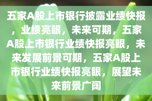五家A股上市银行披露业绩快报，业绩亮眼，未来可期，五家A股上市银行业绩快报亮眼，未来发展前景可期，五家A股上市银行业绩快报亮眼，展望未来前景广阔