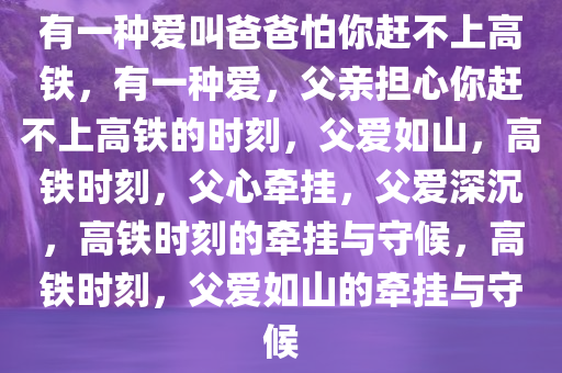 有一种爱叫爸爸怕你赶不上高铁，有一种爱，父亲担心你赶不上高铁的时刻，父爱如山，高铁时刻，父心牵挂，父爱深沉，高铁时刻的牵挂与守候，高铁时刻，父爱如山的牵挂与守候
